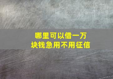 哪里可以借一万块钱急用不用征信