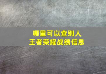 哪里可以查别人王者荣耀战绩信息