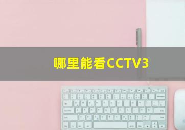 哪里能看CCTV3