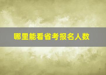 哪里能看省考报名人数