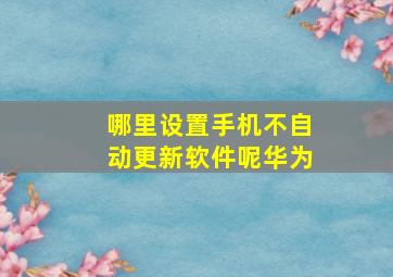 哪里设置手机不自动更新软件呢华为