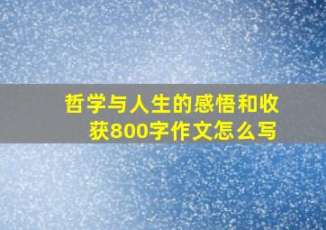 哲学与人生的感悟和收获800字作文怎么写