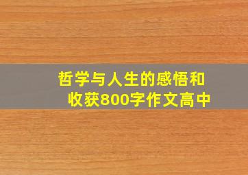 哲学与人生的感悟和收获800字作文高中