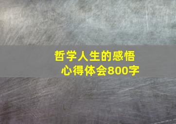 哲学人生的感悟心得体会800字