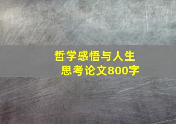 哲学感悟与人生思考论文800字