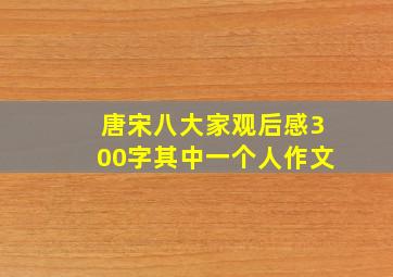 唐宋八大家观后感300字其中一个人作文