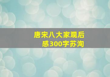 唐宋八大家观后感300字苏洵