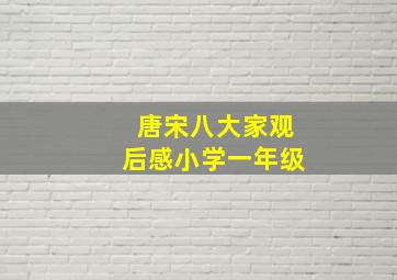 唐宋八大家观后感小学一年级