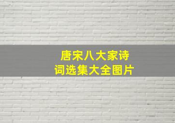 唐宋八大家诗词选集大全图片