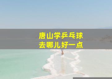 唐山学乒乓球去哪儿好一点