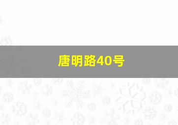 唐明路40号