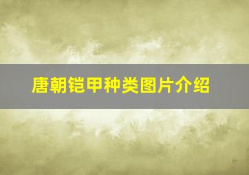 唐朝铠甲种类图片介绍