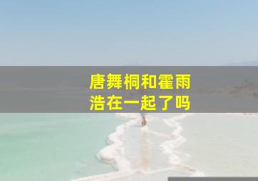 唐舞桐和霍雨浩在一起了吗