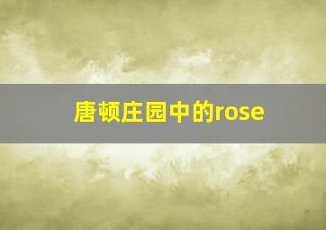 唐顿庄园中的rose