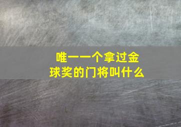 唯一一个拿过金球奖的门将叫什么