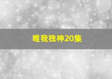 唯我独神20集