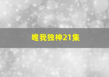 唯我独神21集