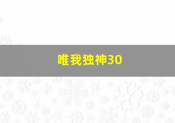 唯我独神30