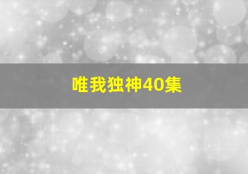 唯我独神40集