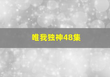 唯我独神48集