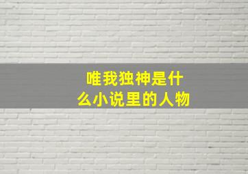 唯我独神是什么小说里的人物