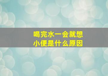 喝完水一会就想小便是什么原因