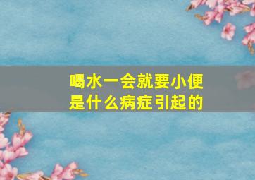 喝水一会就要小便是什么病症引起的