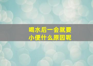 喝水后一会就要小便什么原因呢