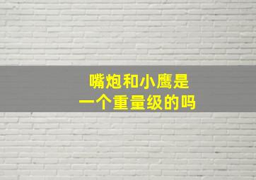 嘴炮和小鹰是一个重量级的吗