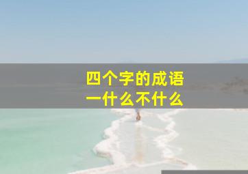 四个字的成语一什么不什么