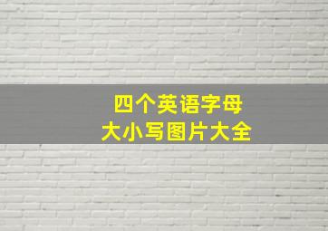 四个英语字母大小写图片大全