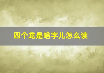 四个龙是啥字儿怎么读