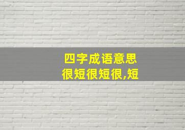 四字成语意思很短很短很,短