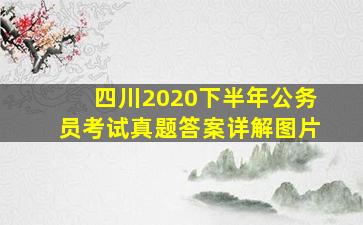 四川2020下半年公务员考试真题答案详解图片