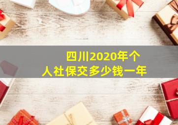 四川2020年个人社保交多少钱一年