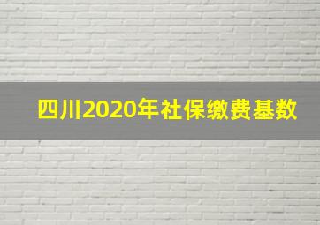 四川2020年社保缴费基数