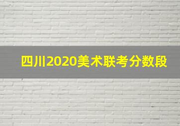 四川2020美术联考分数段