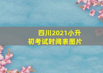 四川2021小升初考试时间表图片