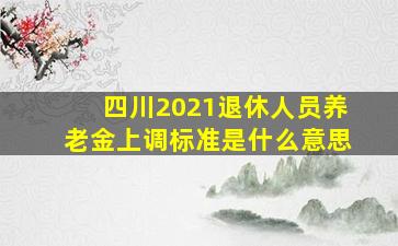 四川2021退休人员养老金上调标准是什么意思