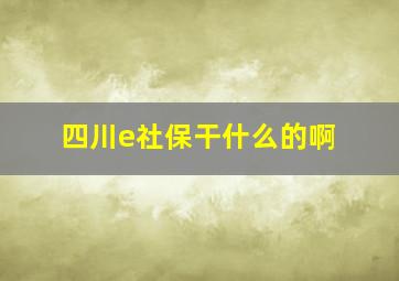 四川e社保干什么的啊