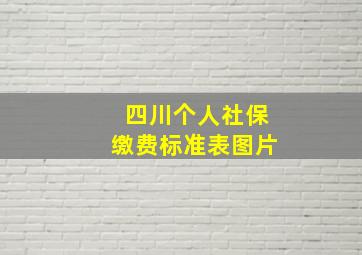 四川个人社保缴费标准表图片