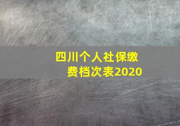 四川个人社保缴费档次表2020