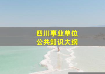 四川事业单位公共知识大纲