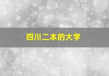 四川二本的大学