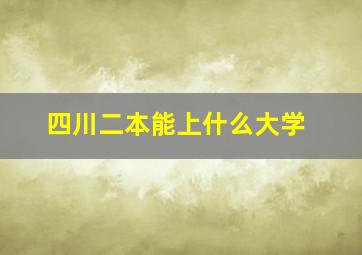 四川二本能上什么大学