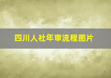 四川人社年审流程图片