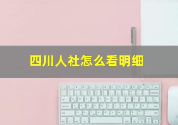 四川人社怎么看明细