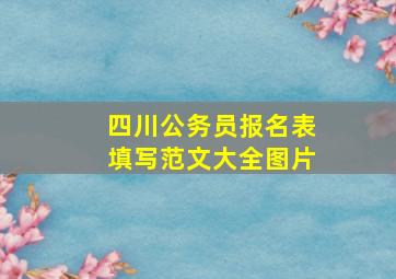 四川公务员报名表填写范文大全图片