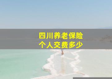 四川养老保险个人交费多少