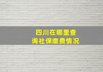 四川在哪里查询社保缴费情况